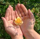 Lucas 17.11-19 --  POR QUE DAR GRAÇAS A DEUS? (esboço)