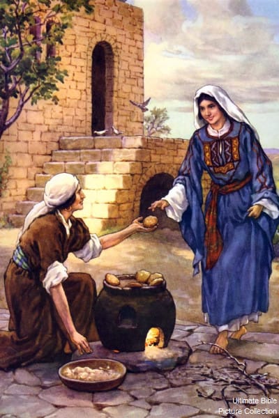 PARA LER O LIVRO DE RUTE  (José Mauricio Cunha do Amaral)