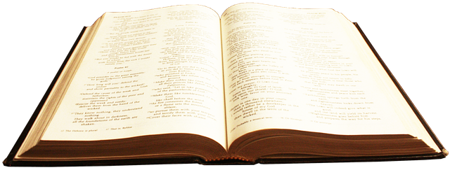 SALMO DO DIA - Salmo 93 DEUS É PERFEITO